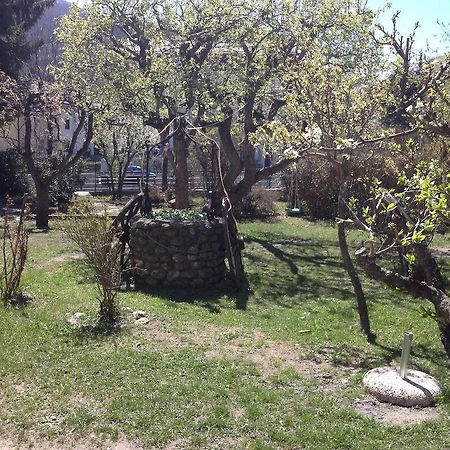Villa Myosotis Bardonecchia Bagian luar foto